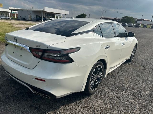 2023 Nissan Maxima SV