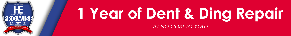 1 Year Dent & Ding Repair