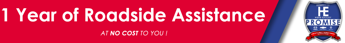 1 Year Roadside Assistance