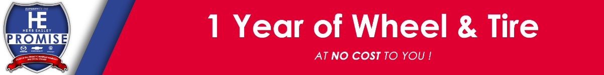 1 Year Wheel and Tire